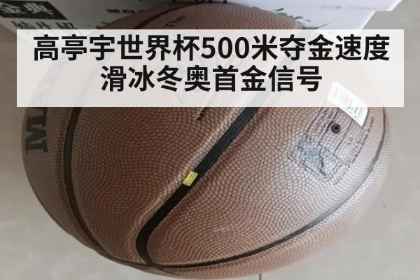 高亭宇世界杯500米夺金速度滑冰冬奥首金信号