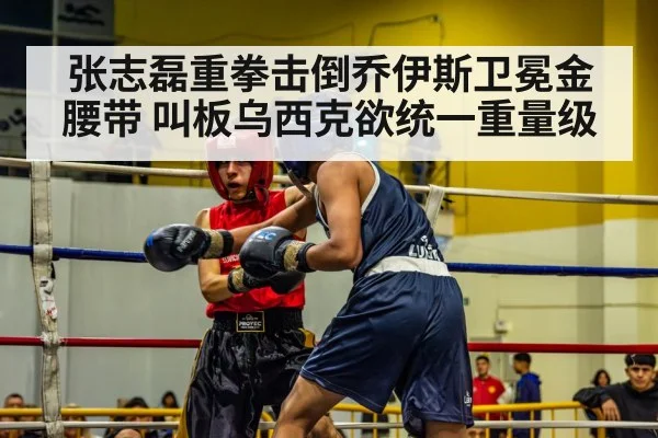 张志磊重拳击倒乔伊斯卫冕金腰带 叫板乌西克欲统一重量级